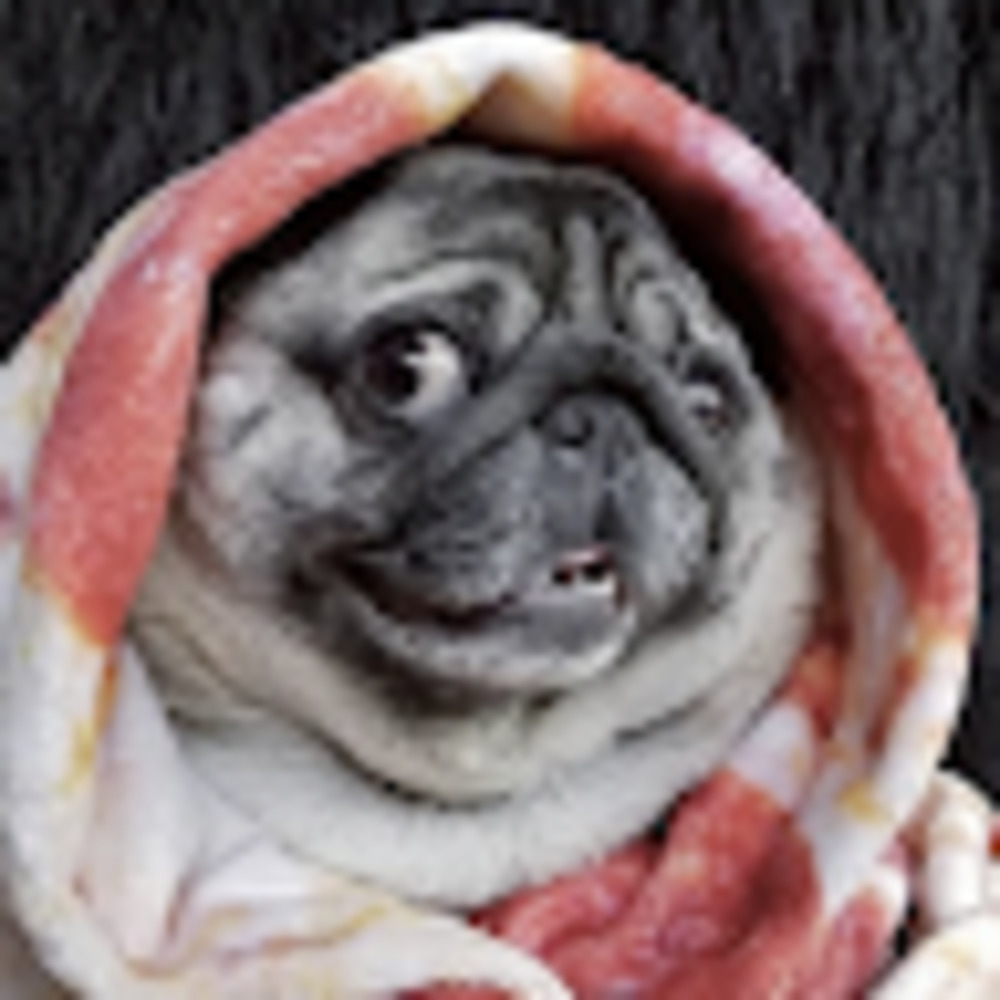 Meet your Posher, Toni